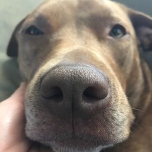 Meet your Posher, Ava